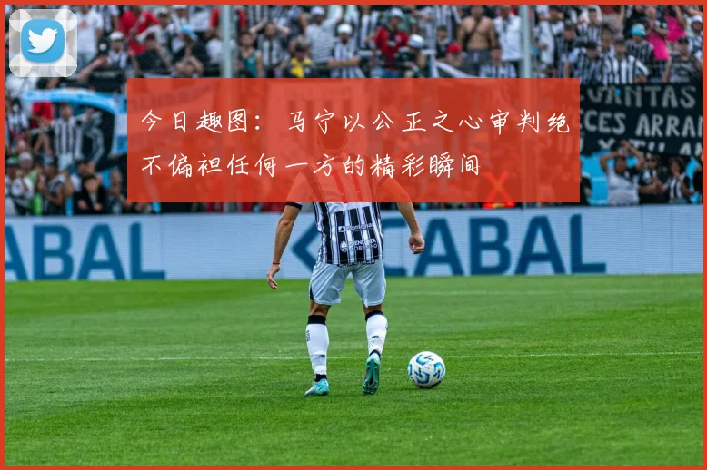 今日趣图：马宁以公正之心审判绝不偏袒任何一方的精彩瞬间