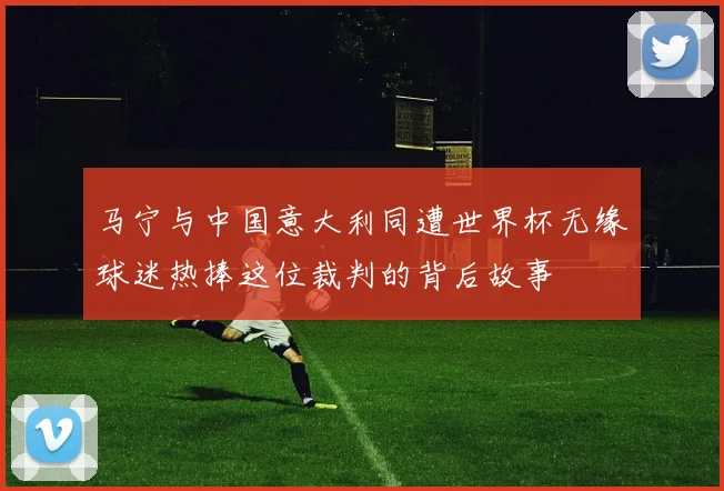 马宁与中国意大利同遭世界杯无缘球迷热捧这位裁判的背后故事